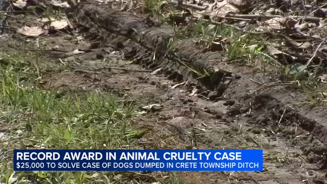 $25K reward now offered for information after 6 dead dogs found dumped in Crete Township
       — ABC7 Chicago (WLS-TV)